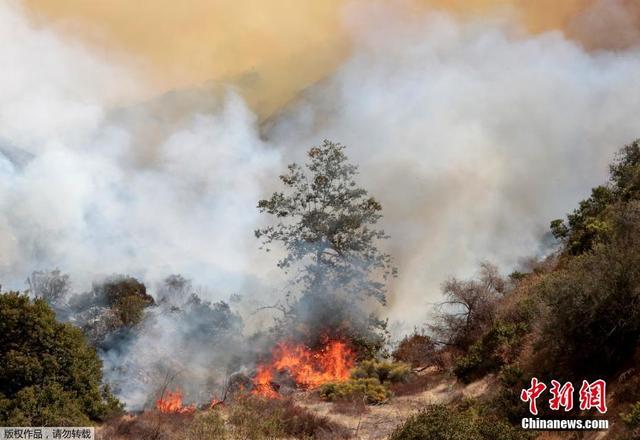 美国洛杉矶发生史上最大山火