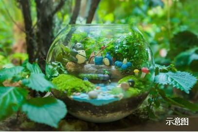 幸福生活·微景观DIY 玩趣绿意时光