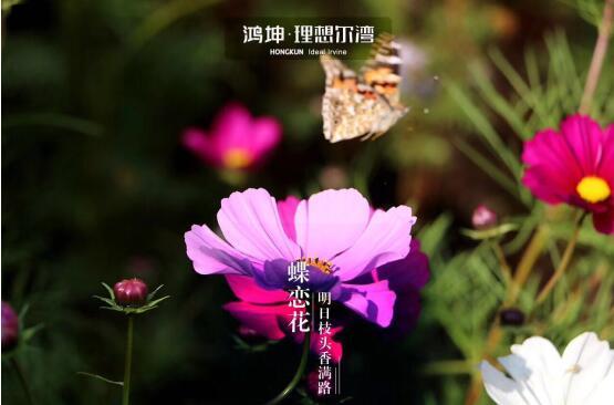 生活居住的环境 请不要将就