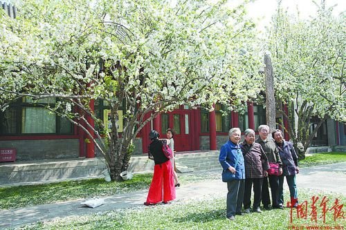 河南长垣涉嫌以租代征土地并强卖给企业