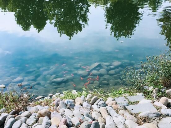 悦澜湾湾岸美宅 把自然还给生活