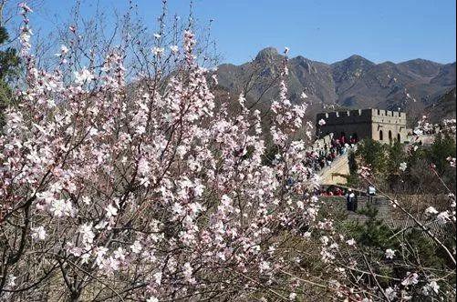 鸿威·翡翠城杯第三届大营盘越野赛新闻发布会欢乐邀约