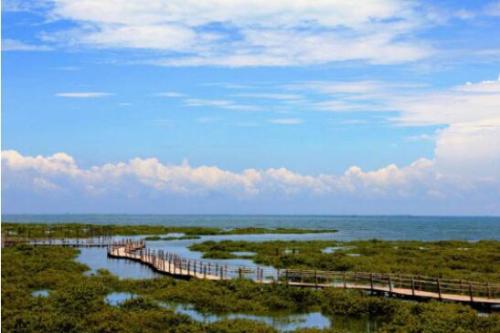 中信国安·北海第一城助力全域旅游全新追求