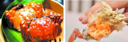 漂洋过海来“蟹”你 黄金周狂欢起航