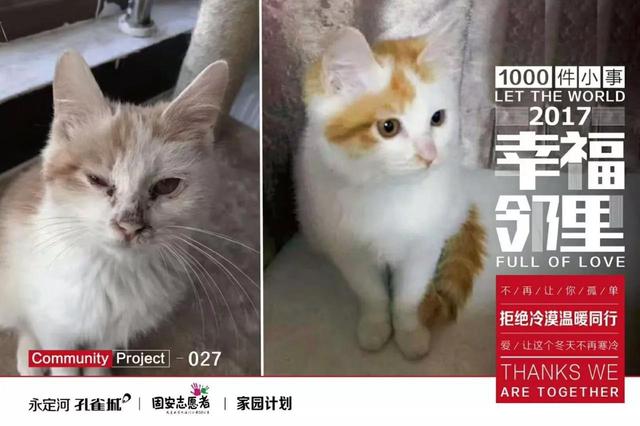 这个世界并不冷漠 温暖一直在我们身边