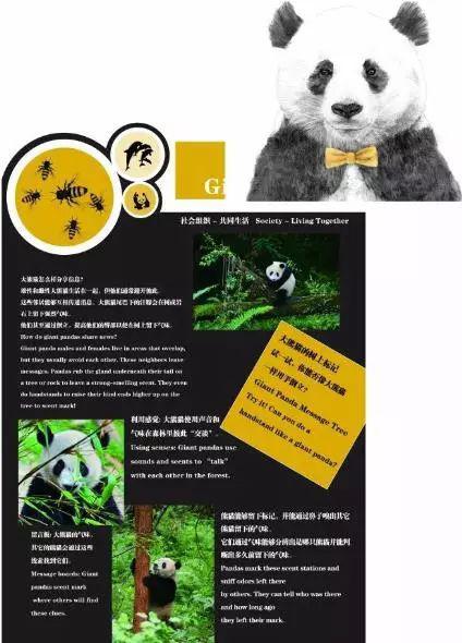 快来领票“胖哒”岛熊猫乐园突袭英国宫
