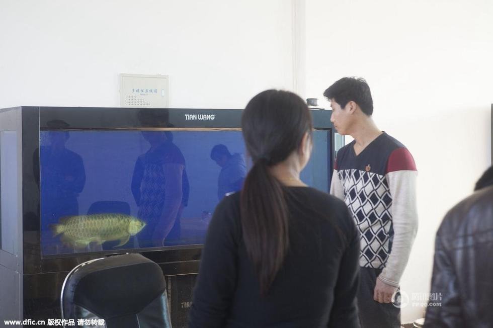 冯提莫收入多少_学建筑月收入多少