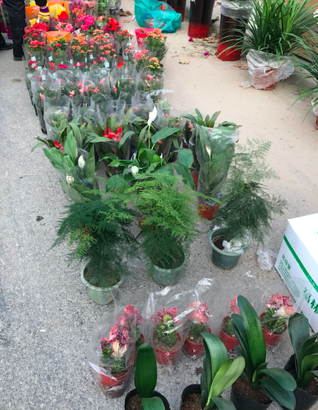 京外田园 牛驼 ”两天一夜” 微旅行幸福启程