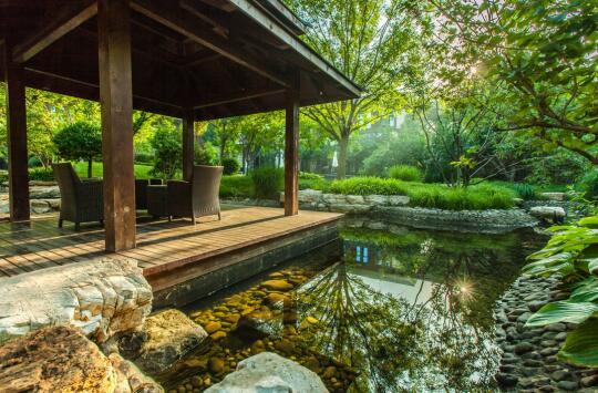 院子里的团圆生活