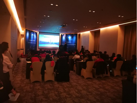 迪拜地产布鲁集团2018年首届项目推介会在京举行