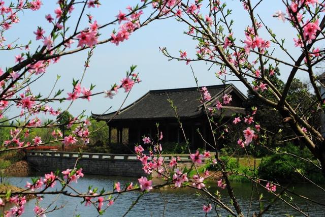 牛驼温泉孔雀城 泉心小镇飞屋环游