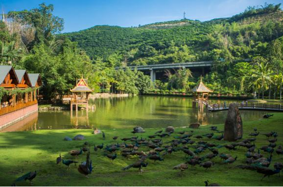 版纳万达产品重庆推介会 7月19日即将盛大启幕_房产_腾讯网