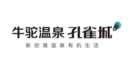 牛驼温泉孔雀城 泉心小镇飞屋环游