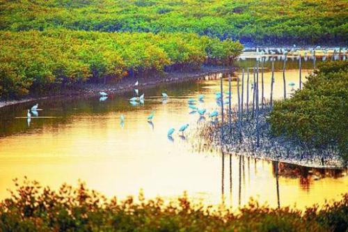 中信国安·北海第一城 如何打造“海洋CUD 海绵城市”