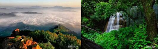 V7荷塘月色 踏青春天里 “醉美”在房山