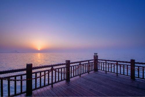 Seatopia蔚蓝海岸&ofo战略合作 新场景的设计与表达