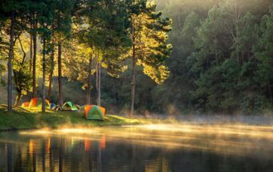 愿你承受的中年之重 都被温柔和解