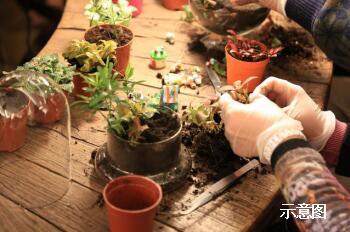 幸福生活·指尖微世界 定制大自然