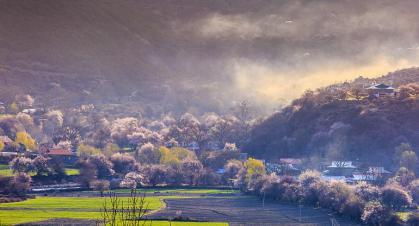 愿你承受的中年之重 都被温柔和解