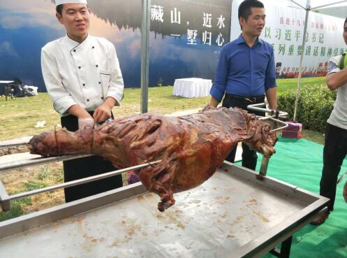 鹿野仙踪阿尔卡迪亚的时光森林 乐动第一季完美落幕