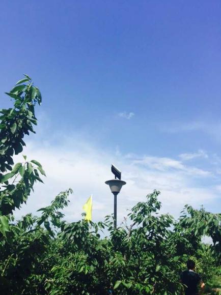 品质 | 伯顿庄园高端红酒品鉴会 尊享珍藏醉美伯