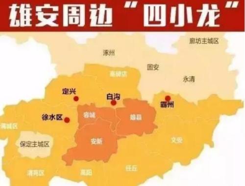 环雄四小龙 谁最具潜力