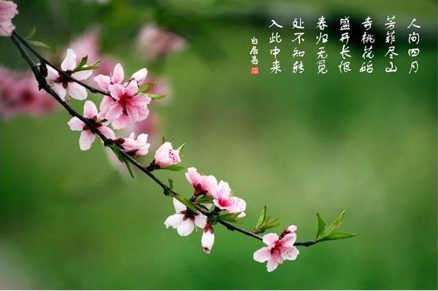 幸福生活+给春天加点不一样的色彩