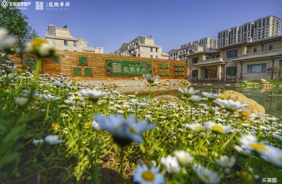 论别墅和城市别墅的区别