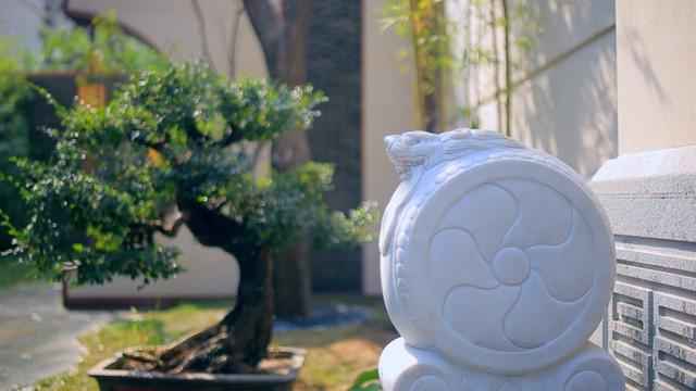 打造美工与传承龙湖景林文化尊重中国醉原著视频扁鹊最强图片