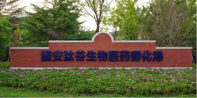 固安 一座国际化新城正冉冉升起