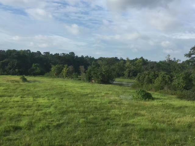 美飓风哈维登陆德州 休斯顿出租住宅入住率将提升