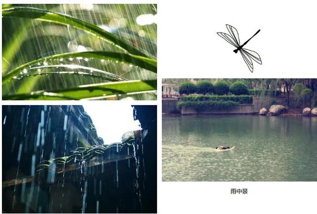 桃源新都孔雀城谷雨 桃源春色正幸福谷雨天