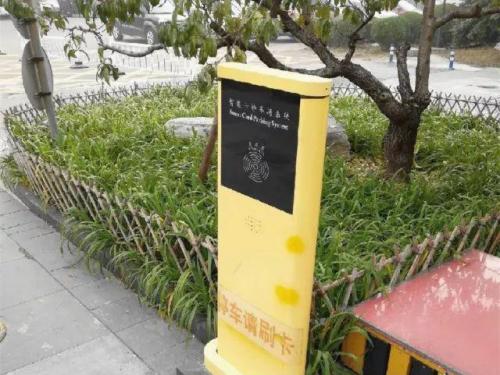 “家园成长计划” 成长的脚步我们从未停歇