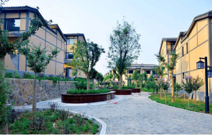 温泉新都孔雀城 拥有ta,幸福感爆棚