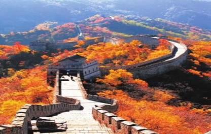 一片红叶一场约定 荣盛京北红叶节即将启幕