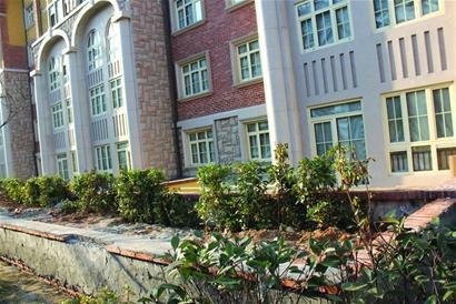 业主圈公共绿地做私家花园 规定显示该行为违