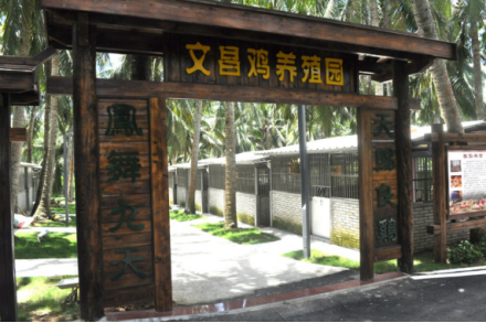 走进文昌 讲小镇故事看沧桑巨变