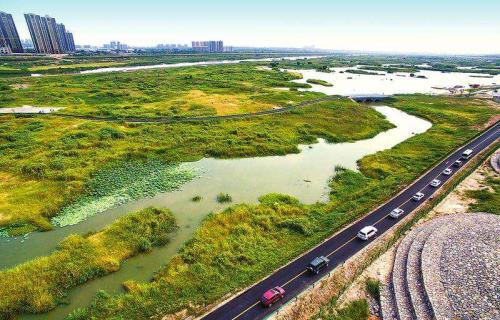 绿色花园城市 守好雄安新区东大门