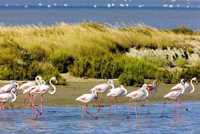 这些世界最美湿地你去过几个