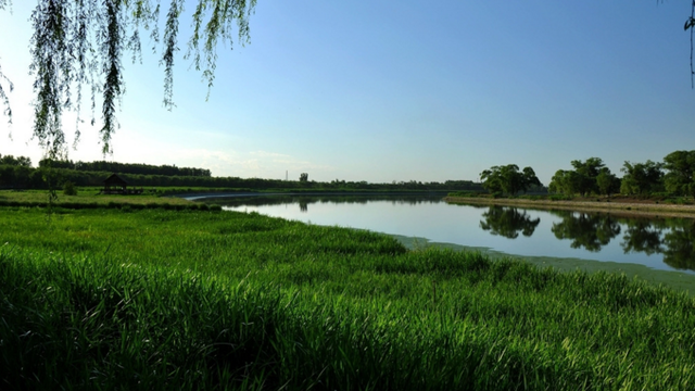 这些世界最美湿地你去过几个