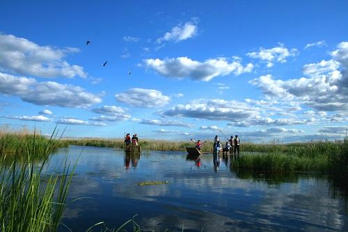 这些世界最美湿地你去过几个