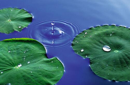 绿地香树花城:倾听自然的声音 独揽绝佳生态资源_房产长沙站_腾讯网