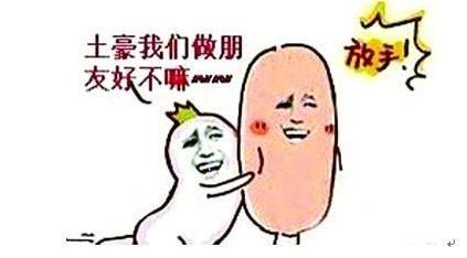 小Q策房:还是的土豪你别猜不装我们汤圆动态朋友酱世界包搞笑表情图片