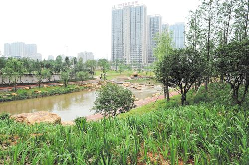 都市绿肺:新圭塘河,城市绿道重现诗意城南