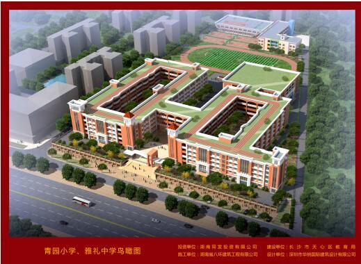 天心区区委书记调研丽发新城学校建设工作