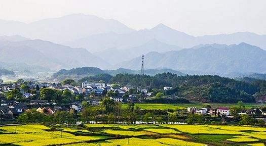 去"三带五区"感受长沙乡村美景