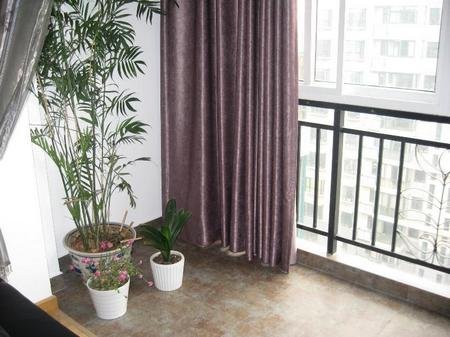 阳台种什么遮阳最好 92015540.jpg