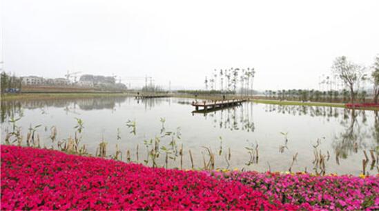 保利狮子湖湿地公园