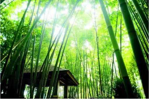 分享旅游业千亿红利 青城山-都江堰度假物业走俏_房产成都站_腾讯网