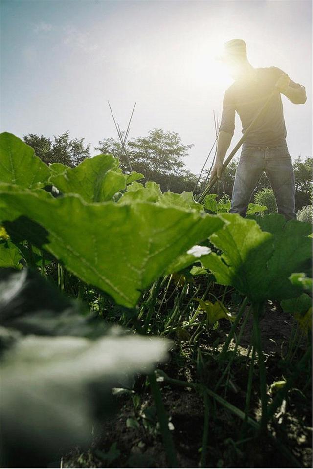 政策红利现购房最佳时机 楼市首推半农生活